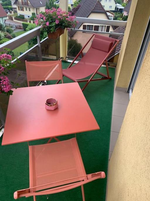 Charmant Appartement 2 Pieces Mundolsheim Dış mekan fotoğraf
