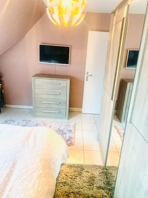 Charmant Appartement 2 Pieces Mundolsheim Dış mekan fotoğraf