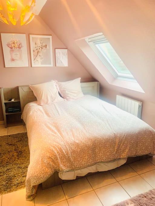 Charmant Appartement 2 Pieces Mundolsheim Dış mekan fotoğraf